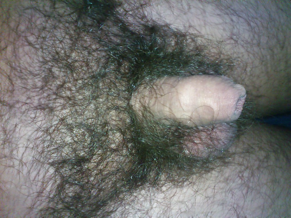 Ma bite poilue au repos. hairy Dick cock #16612990