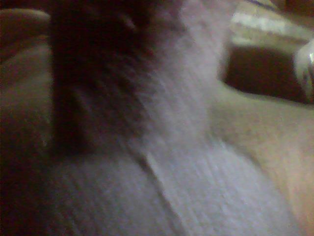 Masterbating #1878559