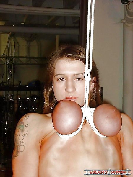 All Tied Up #21563798
