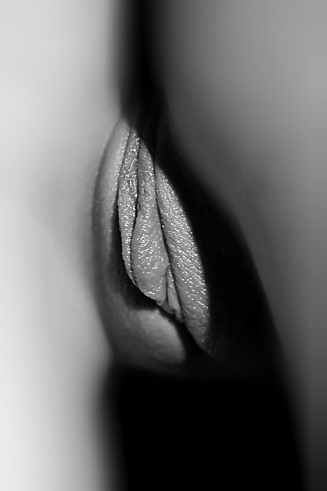 Black and White 155! #8918846