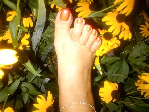 Moor toes #14839133