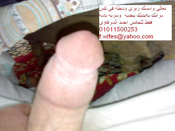 Il mio cazzo arabo 4 tutte le mogli e tutti i cornuti 00201011500253
 #21878223