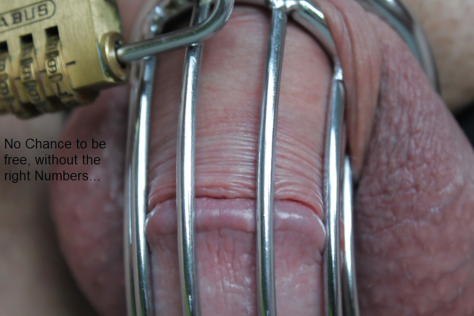 Nach Zwei Wochen In Keuschheit #19457119