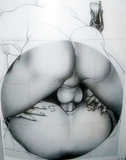 Ass #4080713
