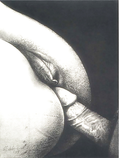 Ass #4080727