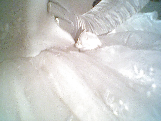 Your sissybride 1 #3525564