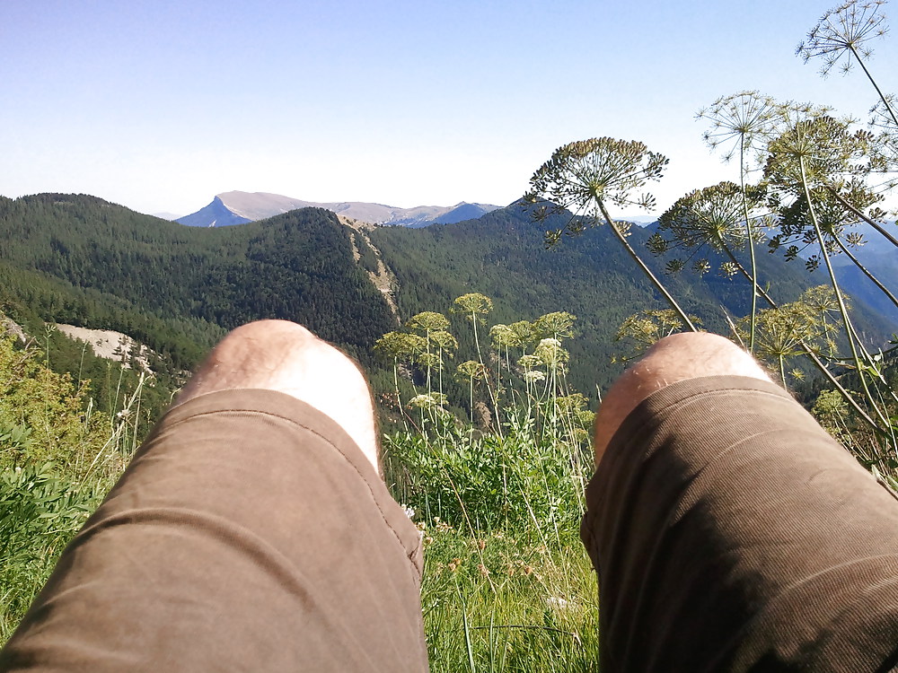 多様な写真
 #14705165