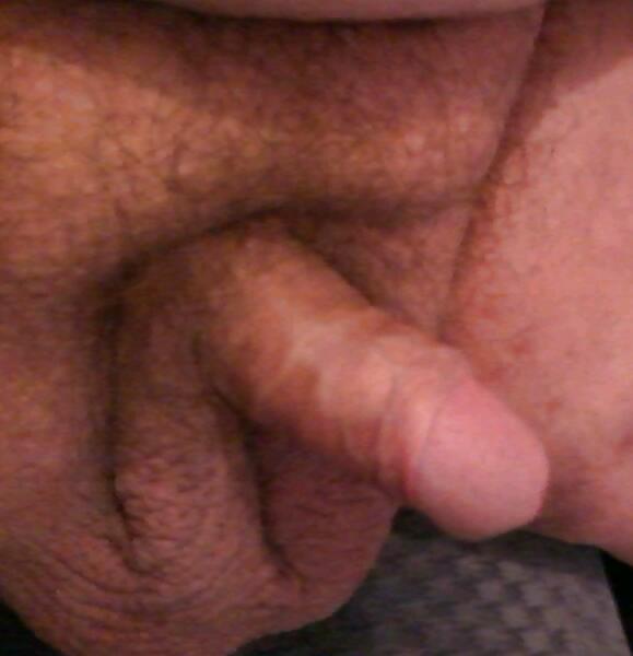 Mein Kleiner Bolzen #9122430