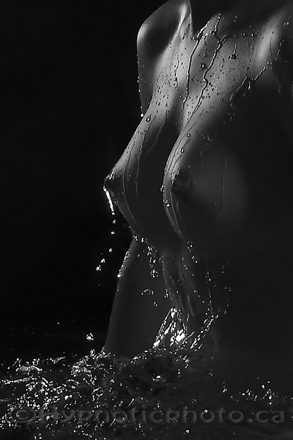 Admire The Gentle #9806334