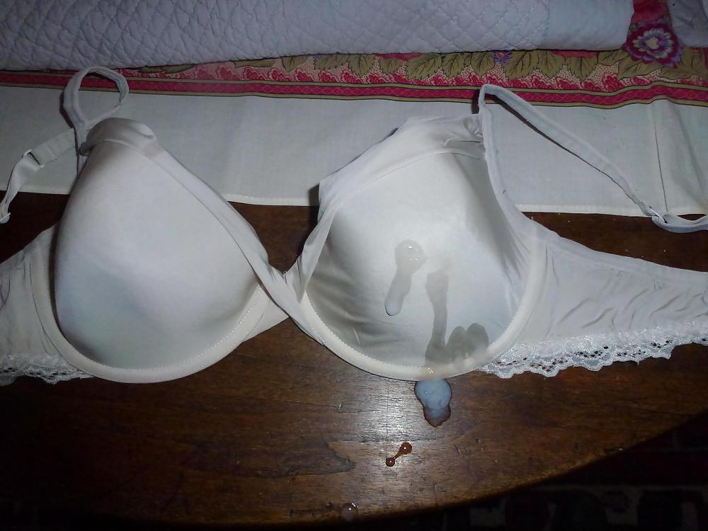 Cum on my Mother in Law's bra 3 #19323791