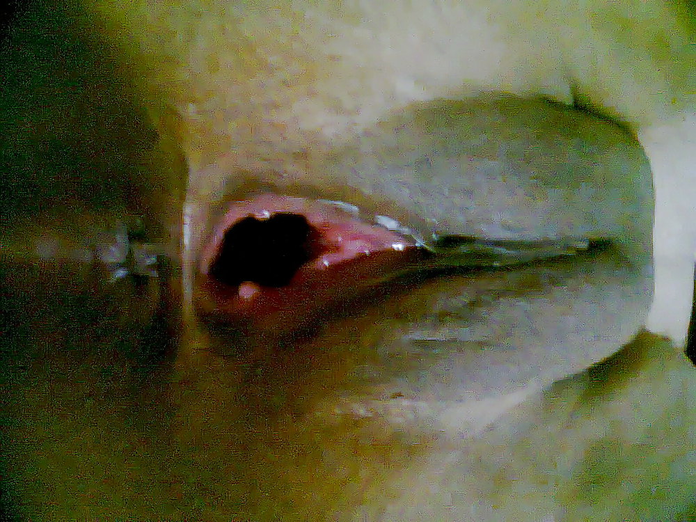 Cpl
 #20109772