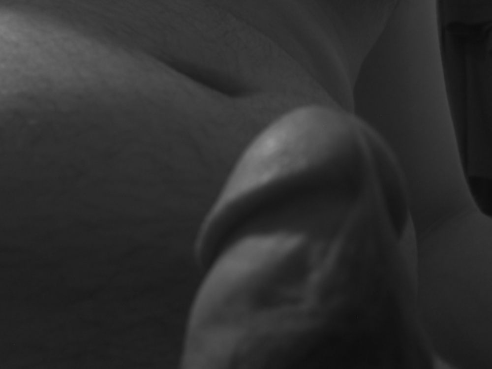 Mein Schwanz #3686118