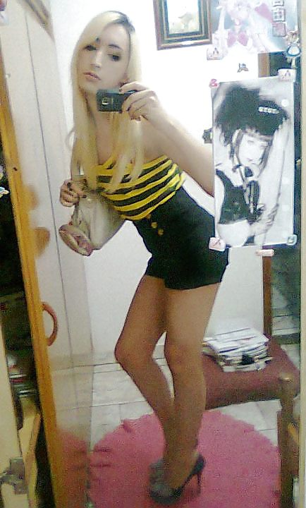 Trampas en su camuflaje
 #22281270