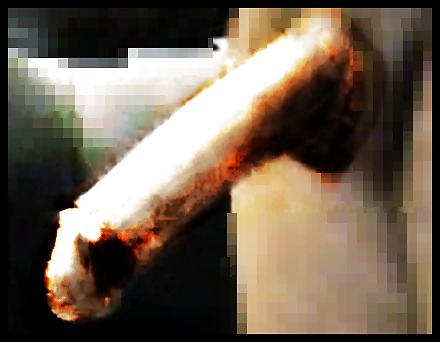 Absract Sex #11817134