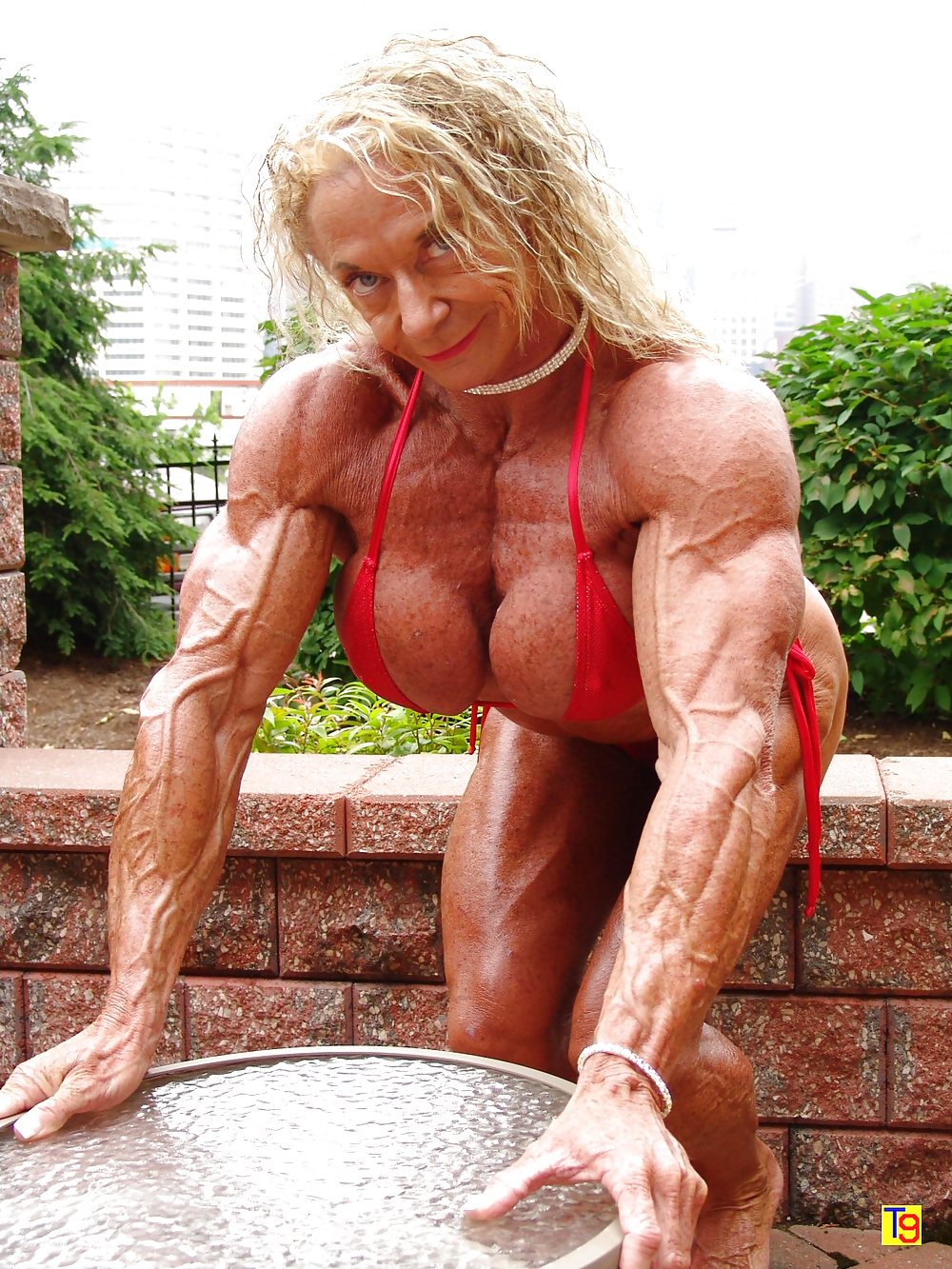 Muscle females #2207205