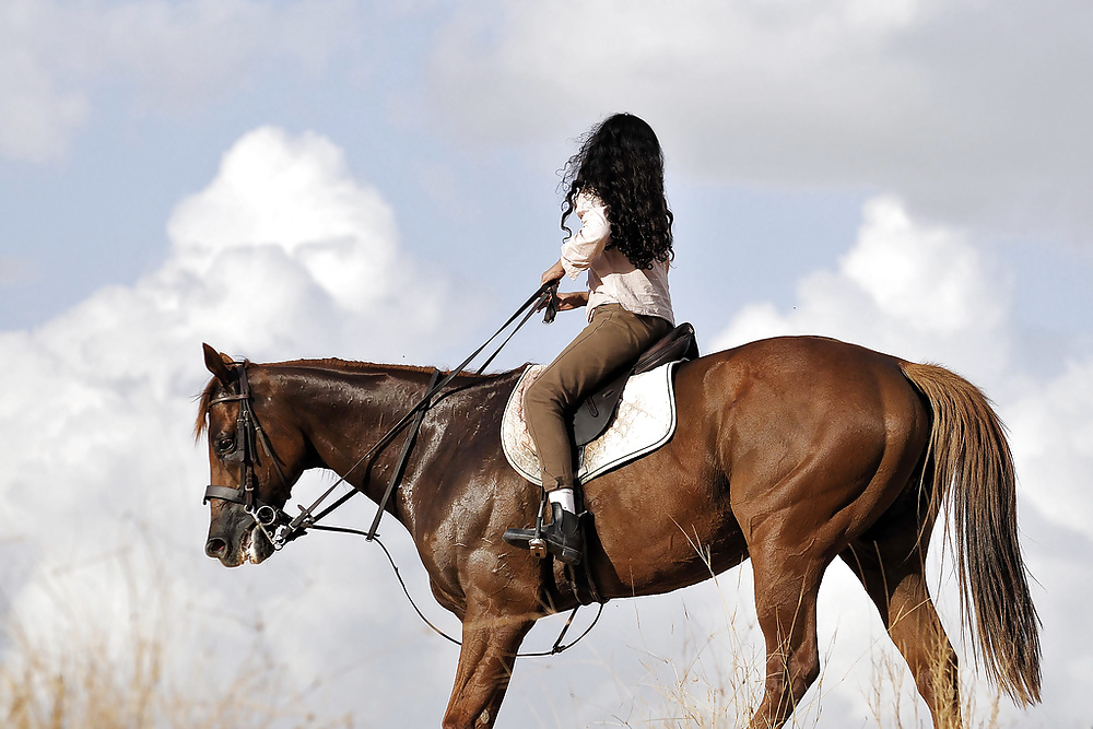 Reiten Schönheit #15079462