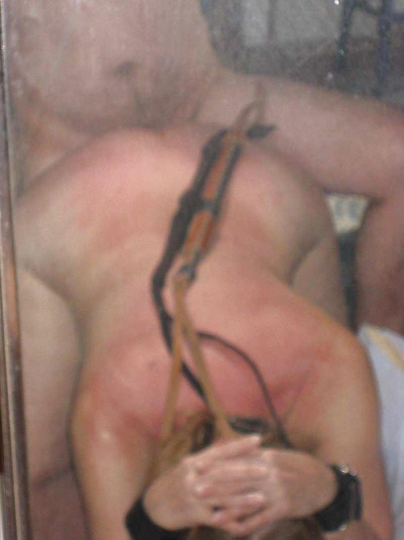 ホイップ
 #7289320