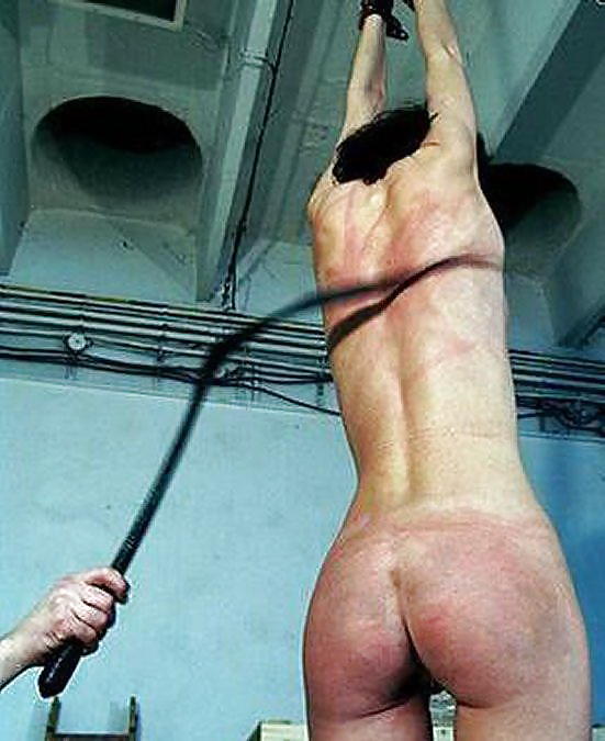 ホイップ
 #7289554