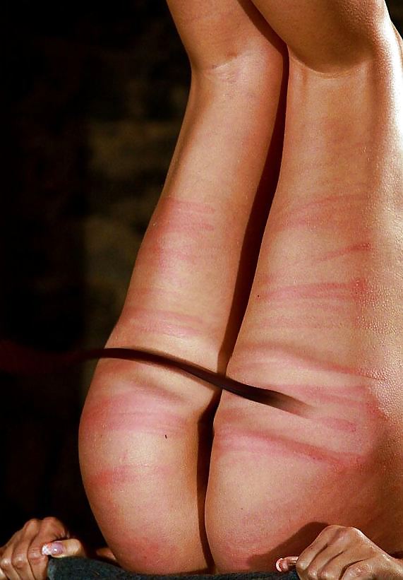 ホイップ
 #7289644