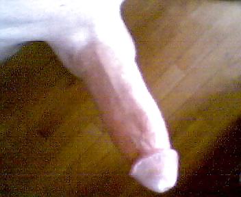 My cock #21169887