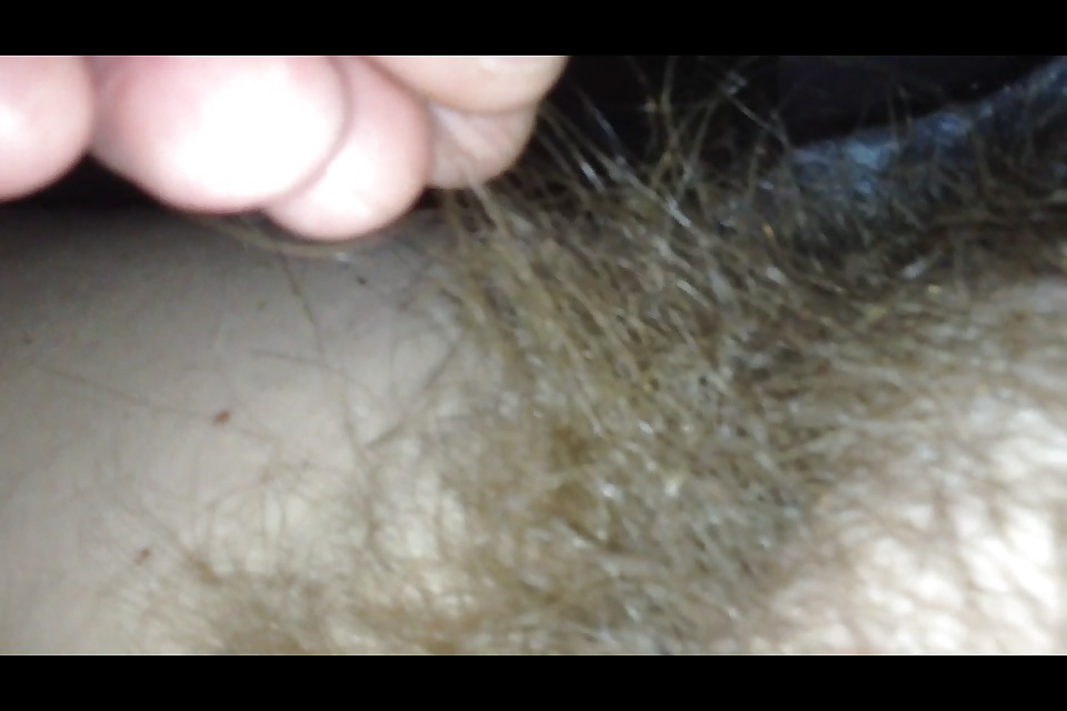 Super soft hairy pubes hanging from her ass & pussy.  #14902414