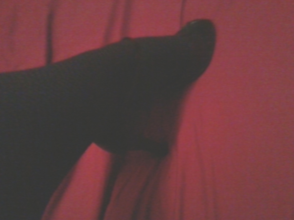 Xdressed before dawn #16482869