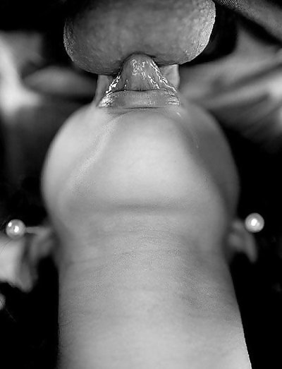 Licking balls #19738249