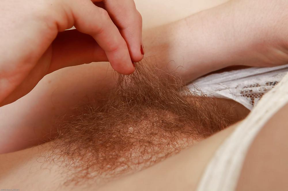 Real Hairy Pussy 4 #15381585