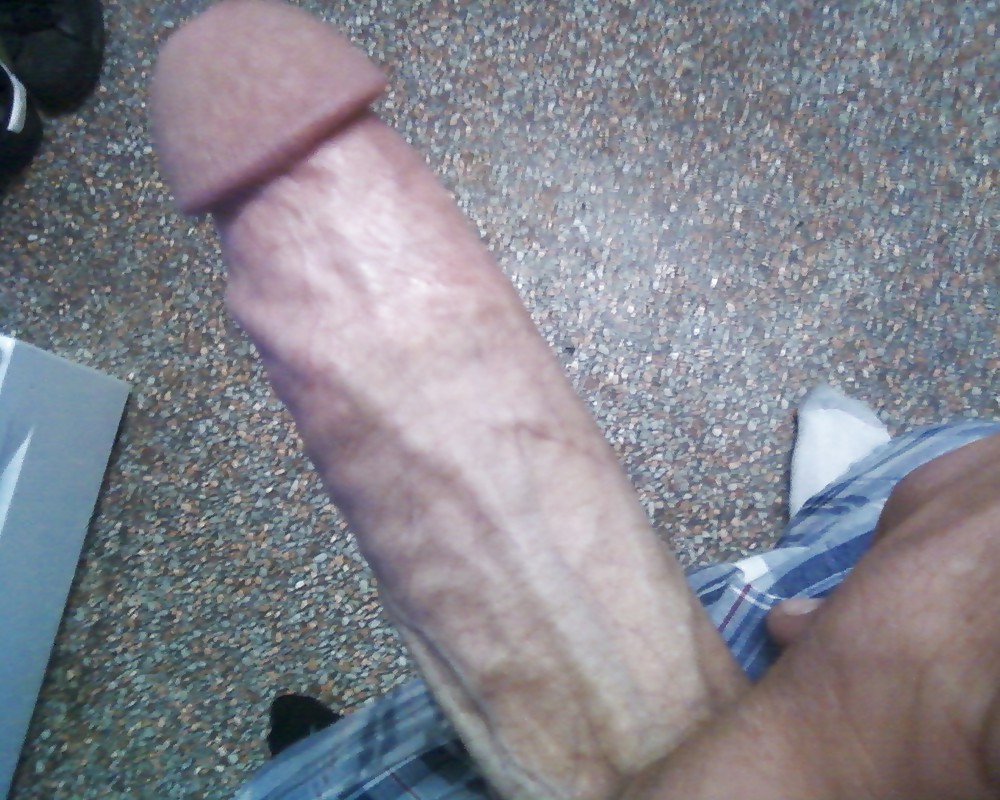 My cock #4321331