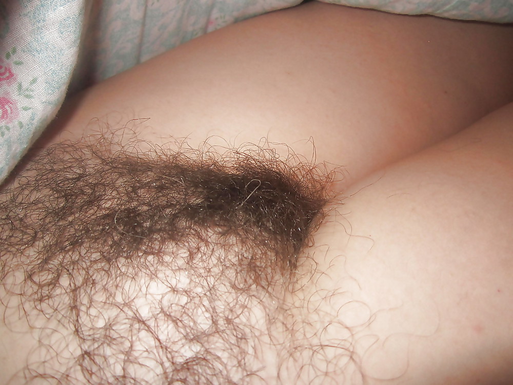 Hairy Bush #4 #13941177