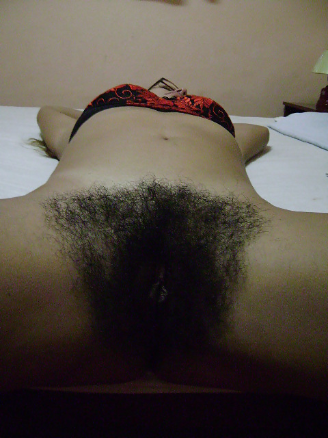 Hairy friend #3014532