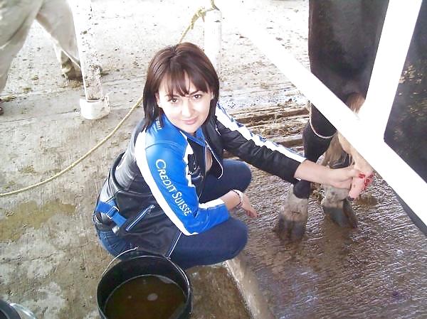 Friends at san eli dairy milking the cow #1015835