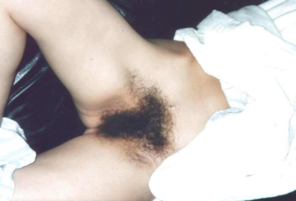 HAIRY AMATEUR 17 #2370740