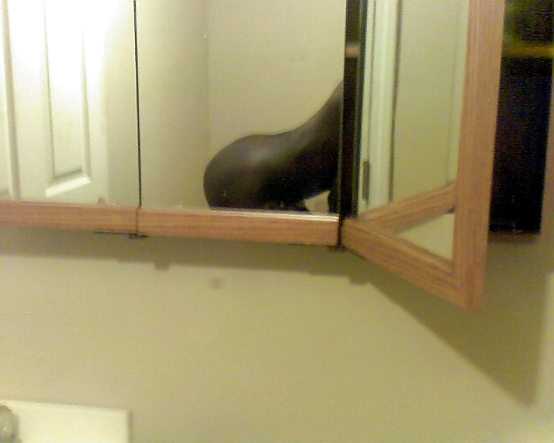 bad shot but still sexy #8633218