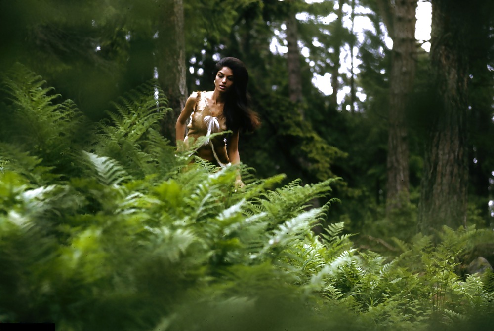 森の中で荒らされる穴居女性
 #18001980