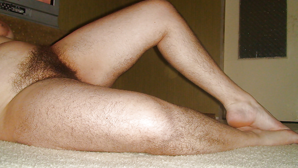 Hairy Gallery IV #16240366