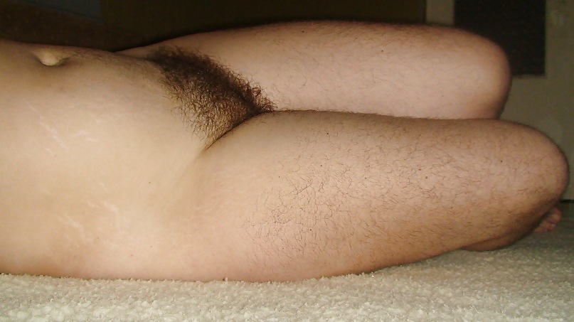Hairy Gallery IV #16240681