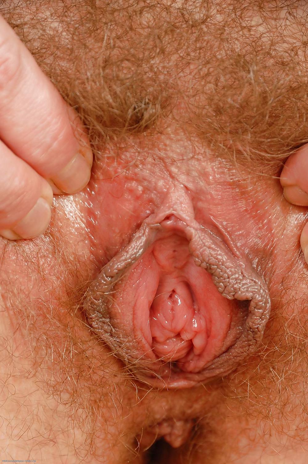 Hairy pussy wet and creamy #15531616