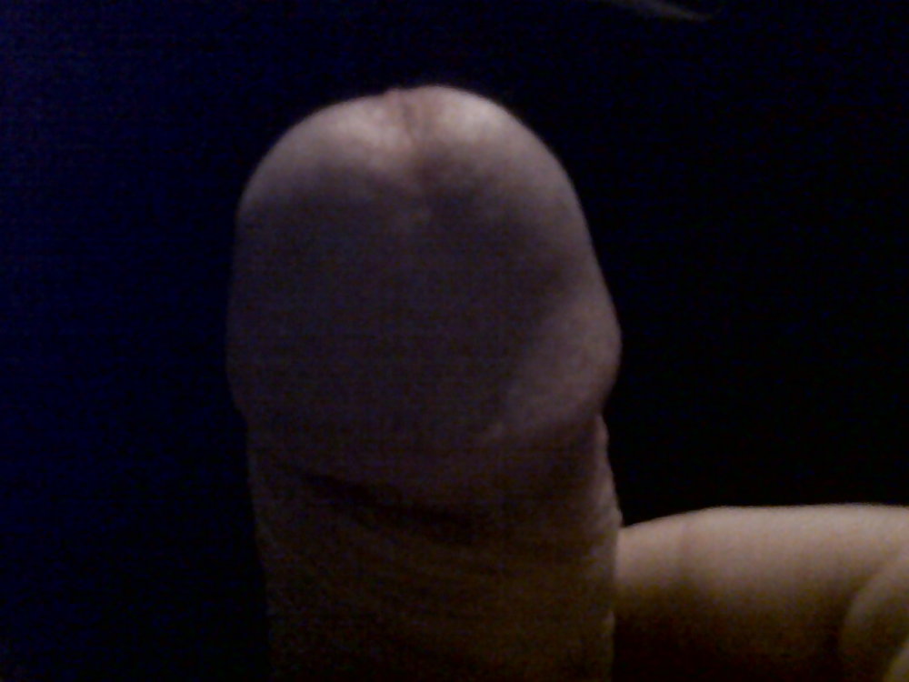 My cock #3579584