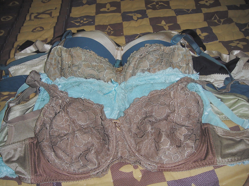 My Personal Bra Collection #6734526