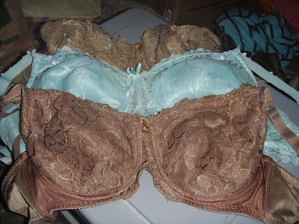 My Personal Bra Collection #6734554
