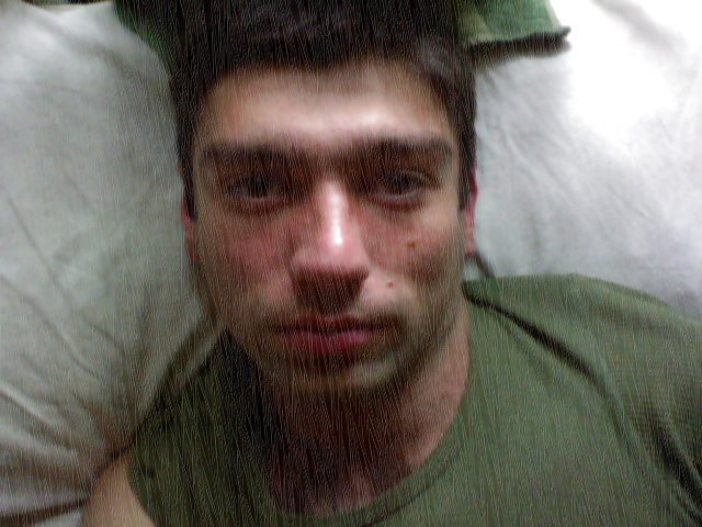 ゼルダボヤ
 #12597333