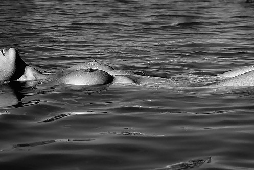 Wicked Water Erotic - Session 3 #4356900