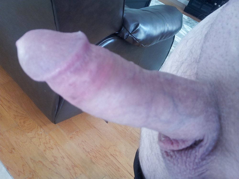 My cock #19748807