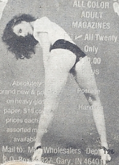 Laurie Smith, Star Retro Vintage Porn #19263540