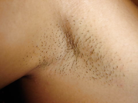 Armpits! #16835088