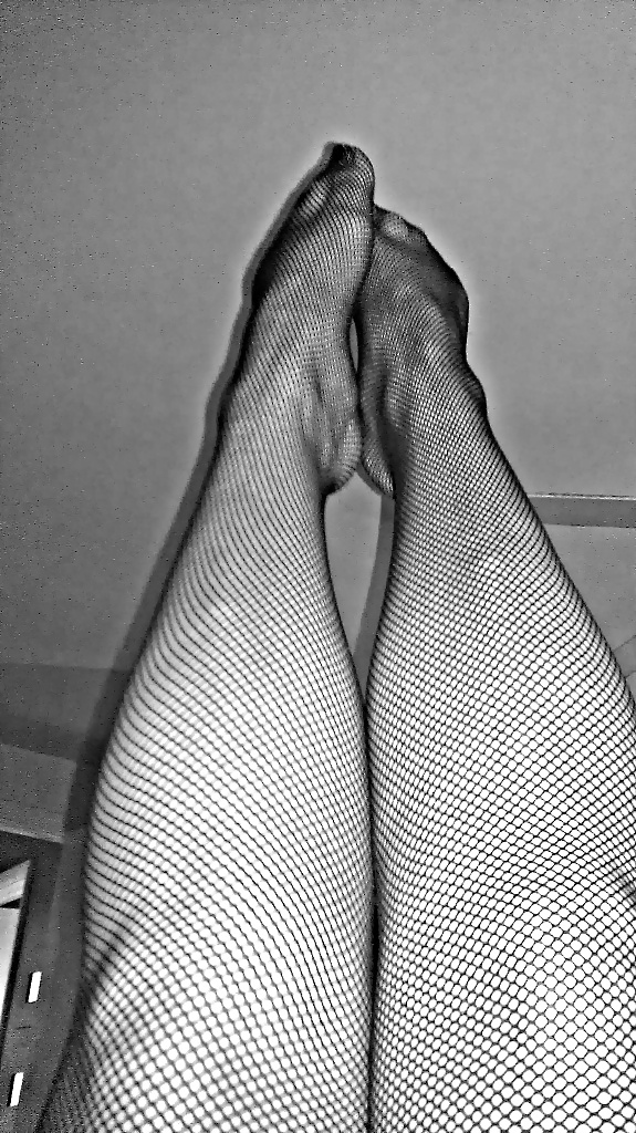 Fishnets #15213099