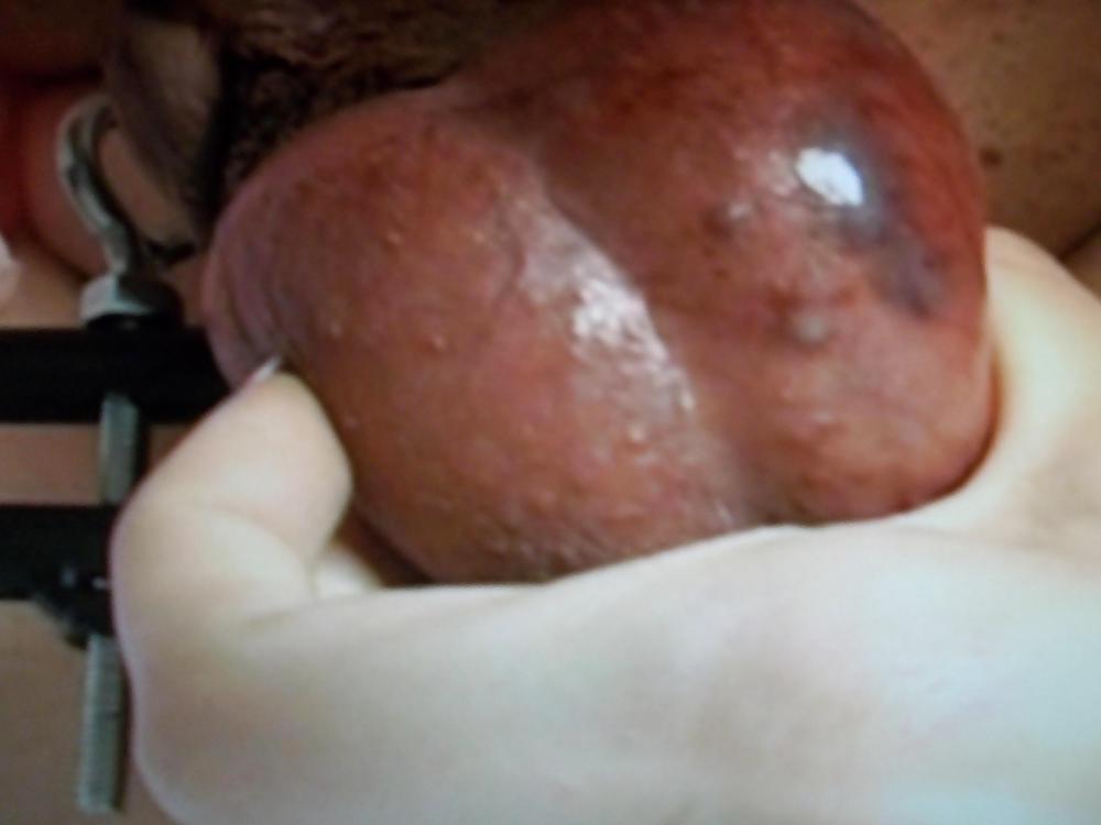 FUCKED  GAY #8470550