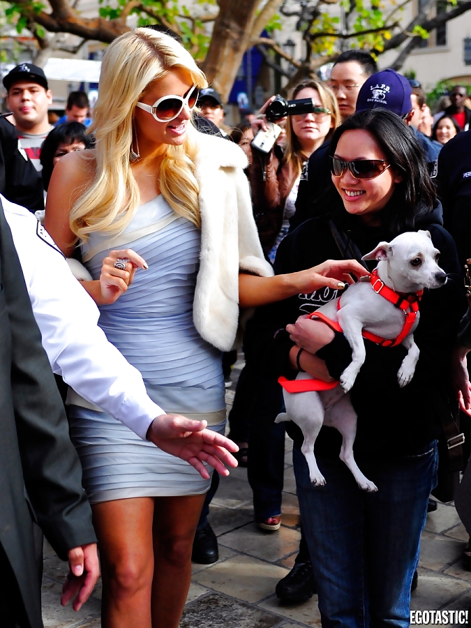 Paris hilton mega collection 5
 #10589617