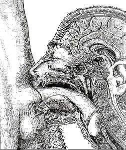 Mixture of stuff. #22014031